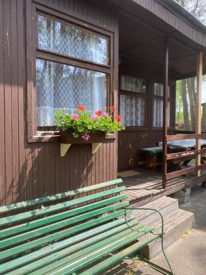 Domki Szumi Las Villa Mrzeżyno Dış mekan fotoğraf