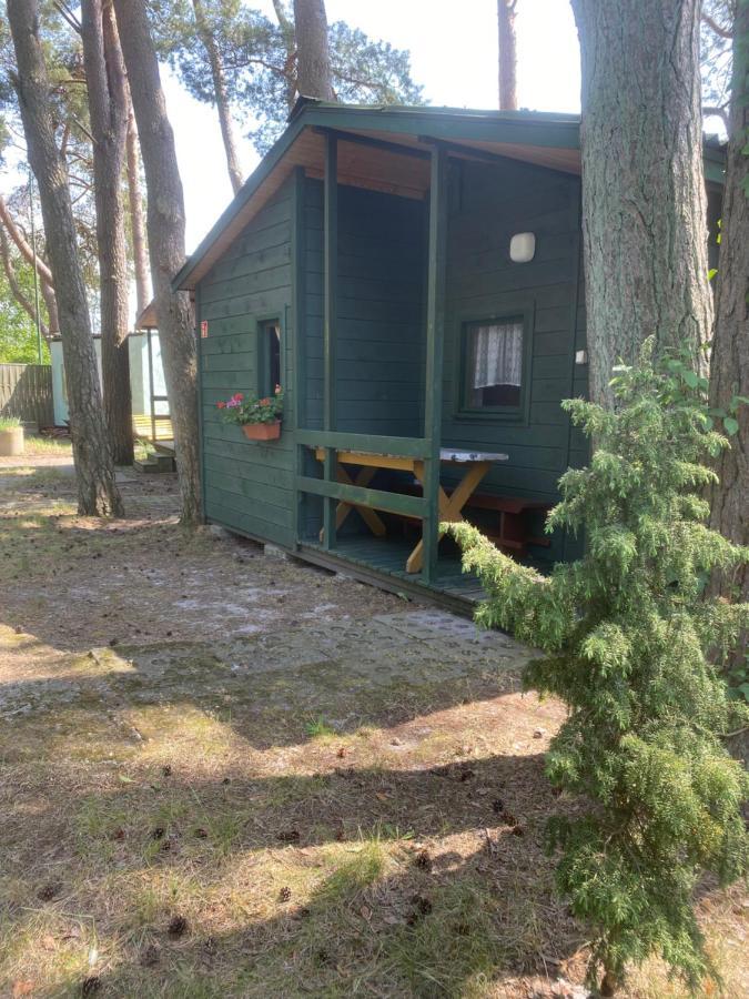 Domki Szumi Las Villa Mrzeżyno Dış mekan fotoğraf