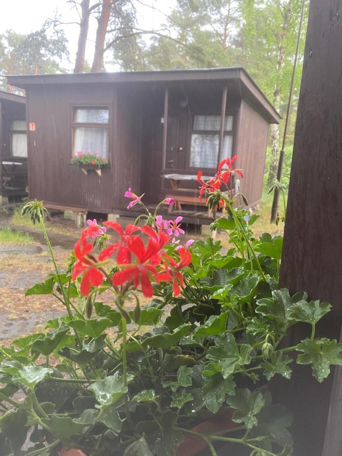 Domki Szumi Las Villa Mrzeżyno Dış mekan fotoğraf